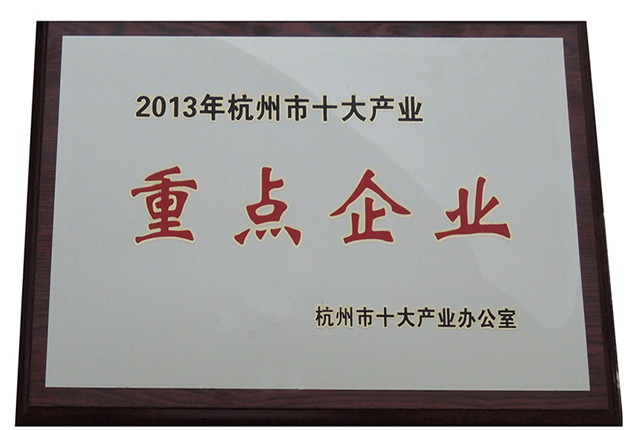 2013年十大产业重点企业